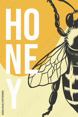 Hand drawn honey poster with Detailed engraved illustration. Graphic bee ink sketch. Vector poster design template, flyer for business promote.