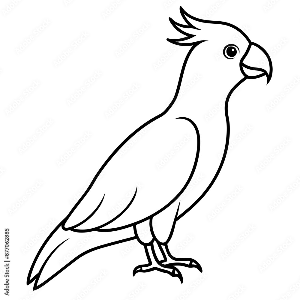 Stunning Cockatoo Full Body Vector Illustration Stunning Cockatoo Full Body Vector Illustration