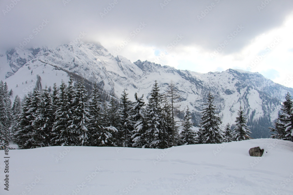 Obraz premium Schneelandschaft