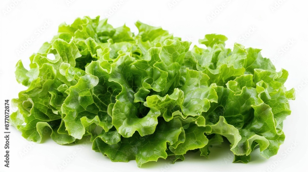 Lettuce on white background , Lettuce on white background ,