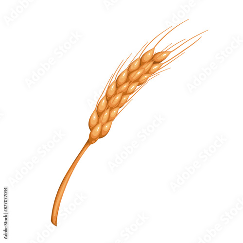 Dry wheat spikelet, cartoon grains with spikes on stalk. Single golden wheat or oat, barley ear from farm field, autumn cereal crop mascot, cartoon organic ripe plant of sheaf vector illustration