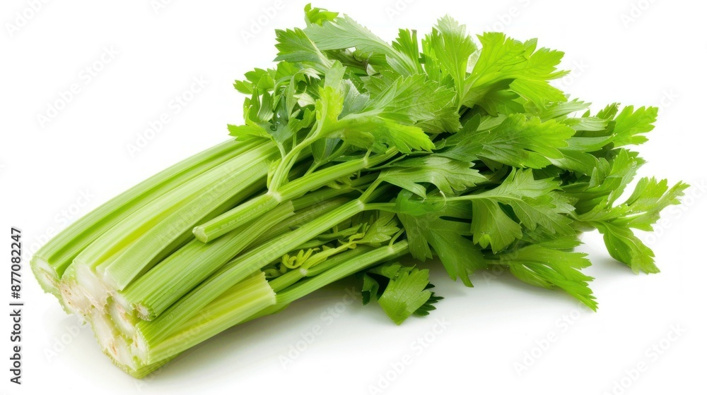 Celery on white background , Celery on white background ,