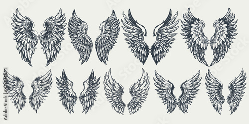 Illustration of wings collection set. fly illustration sign collection. pilot symbol.