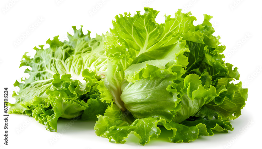 Whole and cut fresh green iceberg lettuces isolated on white Whole and cut fresh green iceberg lettuces isolated on white