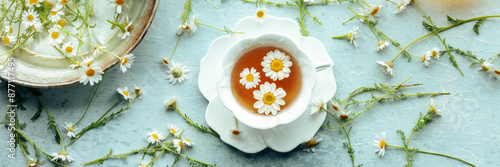 фотографія Chamomile flower tea panorama