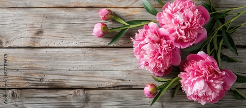 Fototapeta Naklejka Na Ścianę i Meble -  Beautiful bright pink peonies set against a charming wooden background, creating an elegant composition with copy space image.