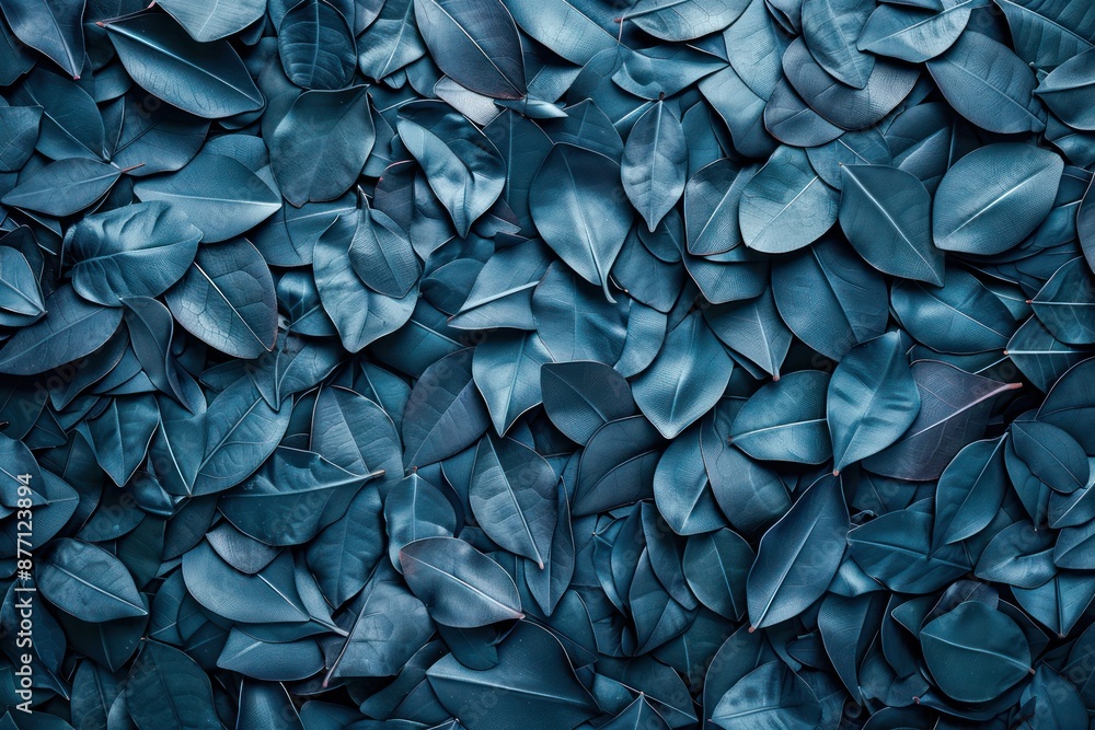 Dark Teal Leaf Background, Minimalist Empty Space With Diverse Leaf Textures, Abstract Nature Pattern, High Contrast, Perfect for Design Branding, Free Download Dark Teal Leaf Background, Minimalist Empty Space With Diverse Leaf Textures, Abstract Nature Pattern, High Contrast, Perfect for Design Branding, Free Download