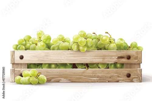 wooden crate filled with green grapes stock image isolated vector style photo