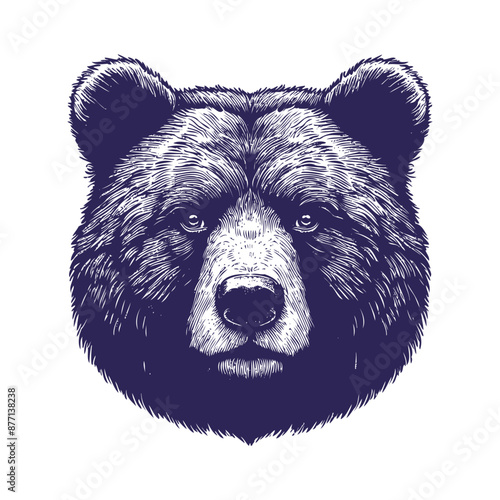 bear vector, bear silhouette