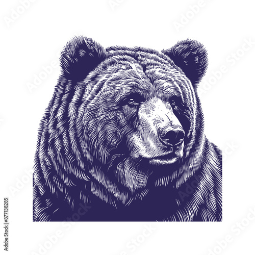 bear vector, bear silhouette