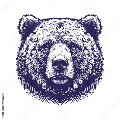 bear vector, bear silhouette