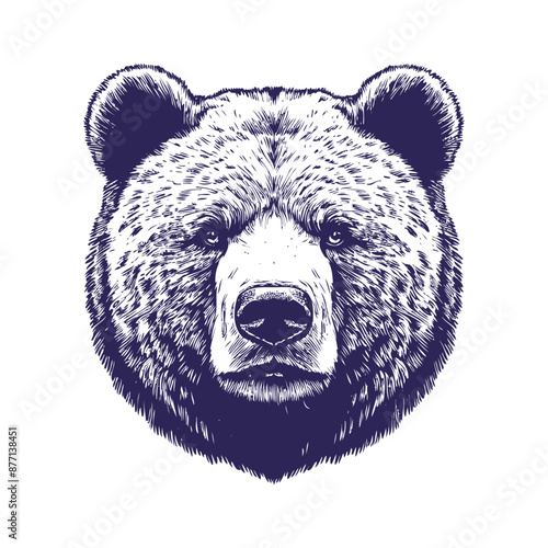 bear vector, bear silhouette