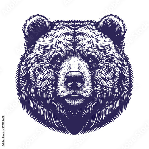 bear vector, bear silhouette
