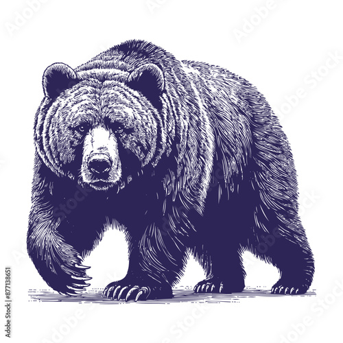 bear vector, bear silhouette