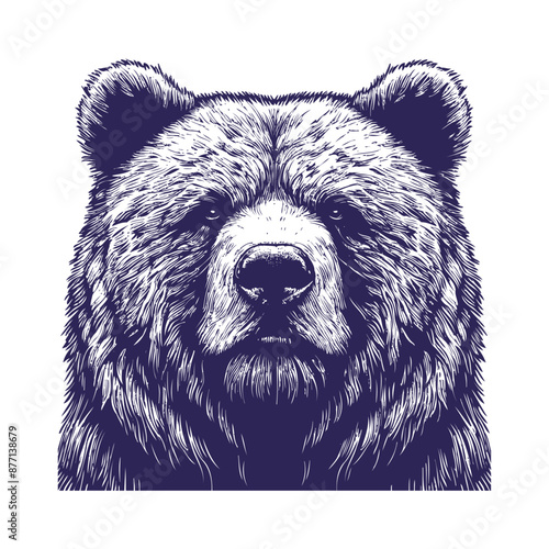 bear vector, bear silhouette
