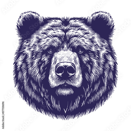 bear vector, bear silhouette