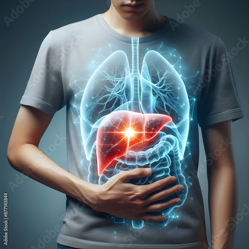 Liver Function and Digestive System | The illustration highlights the liver's location and its integral role in digestion, emphasizing the importance of liver health and function.