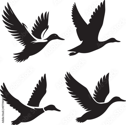 duck silhouette, duck icon, duck vector, 