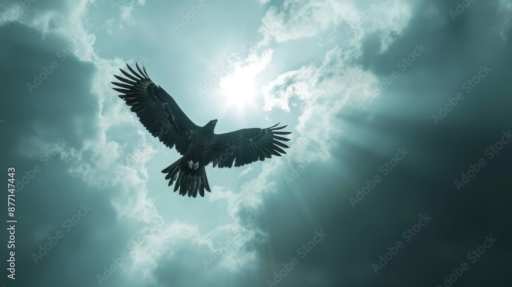 A bird flies against a backdrop of cloudy sky, with the sun obscured yet glimpsed through the feathered edges behind its wings A bird flies against a backdrop of cloudy sky, with the sun obscured yet glimpsed through the feathered edges behind its wings