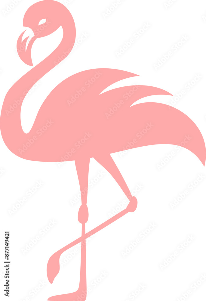 Fototapeta premium Flamingo - Bird Design