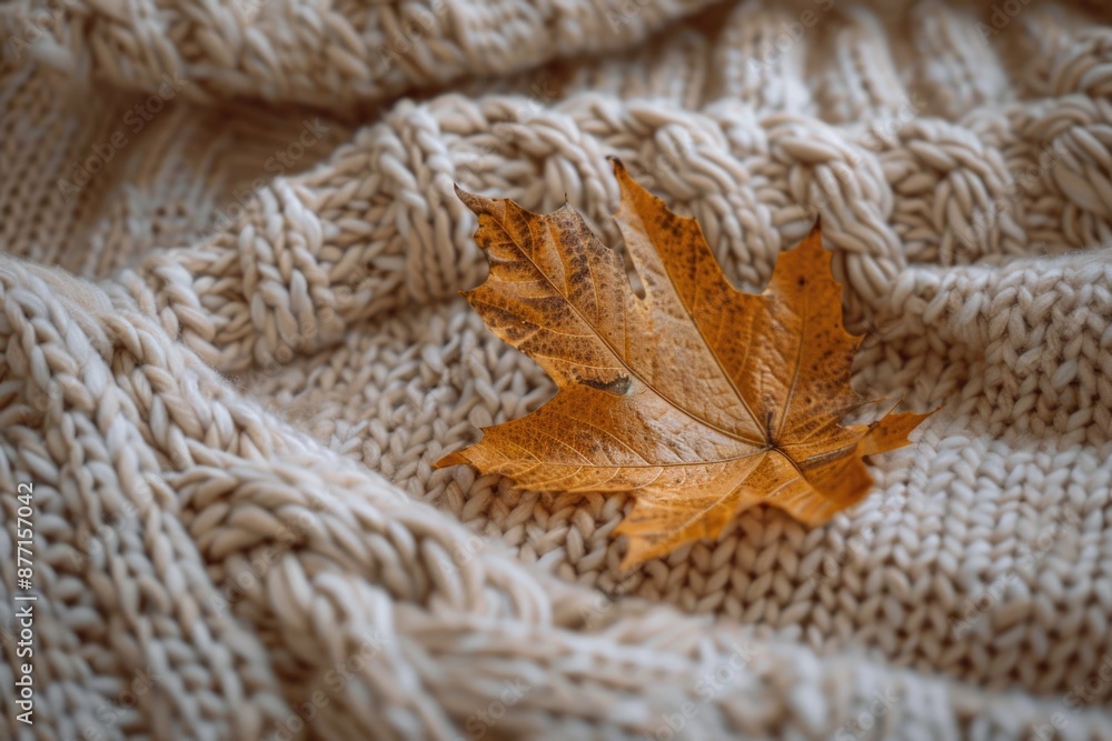 A lone brown leaf rests on a cozy knitted blanket, perfect for autumn or nature-inspired designs A lone brown leaf rests on a cozy knitted blanket, perfect for autumn or nature-inspired designs