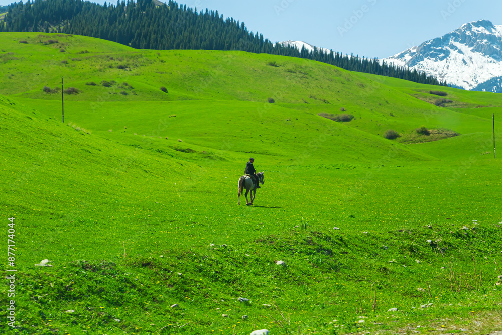Lonely rider on a horse on a plateau in the mountains of the Trans-Ili Range. Lonely rider on a horse on a plateau in the mountains of the Trans-Ili Range.