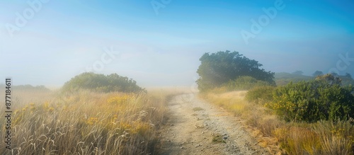 Scenic walking trail within...