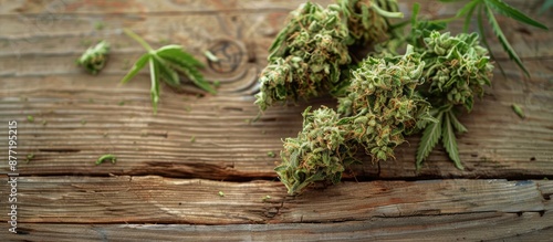 Fresh marijuana buds with C...