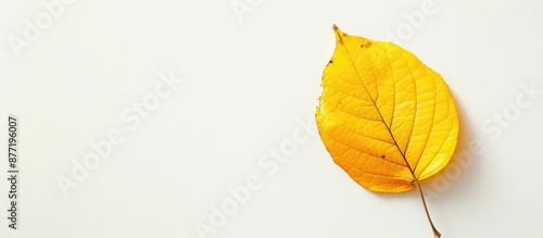 A vintage yellow leaf set a...