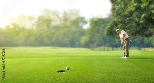 Golfer putting golf ball to the hole on green golf.