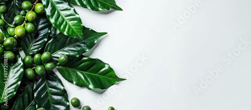 Top view of green coffee le...