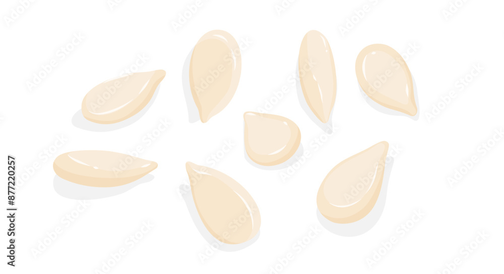 White sesame seeds isolated on white background in flat vector illustration. White sesame seeds isolated on white background in flat vector illustration.