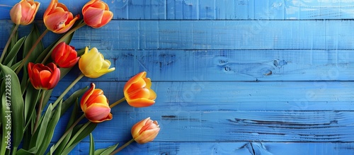 Tulips in orange and yellow...