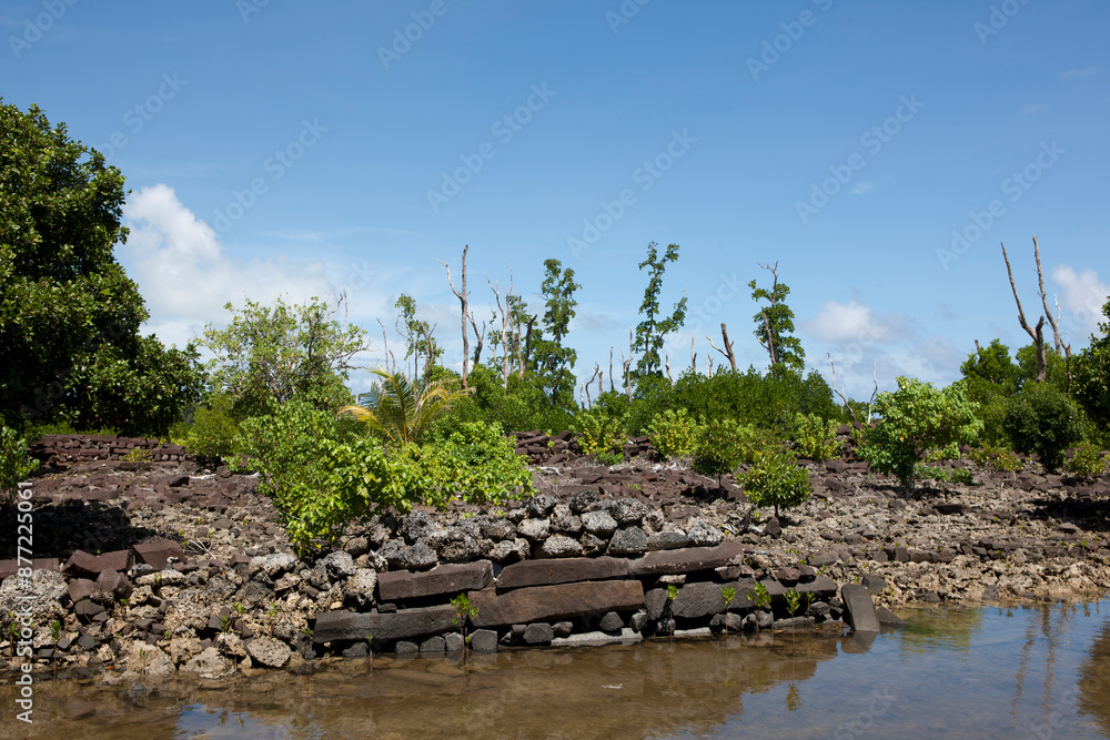 Pohnpei Islands Micronesia Ruins Nan Mandol on a cloudy autumn day Pohnpei Islands Micronesia Ruins Nan Mandol on a cloudy autumn day