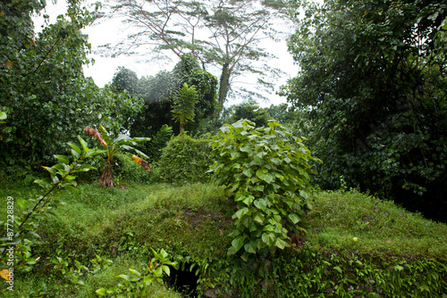 Pohnpei Islands Micronesia traces of the second world war on a cloudy autumn day photo