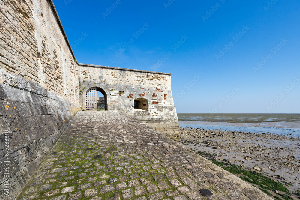 Obraz premium Le Château d'Oléron