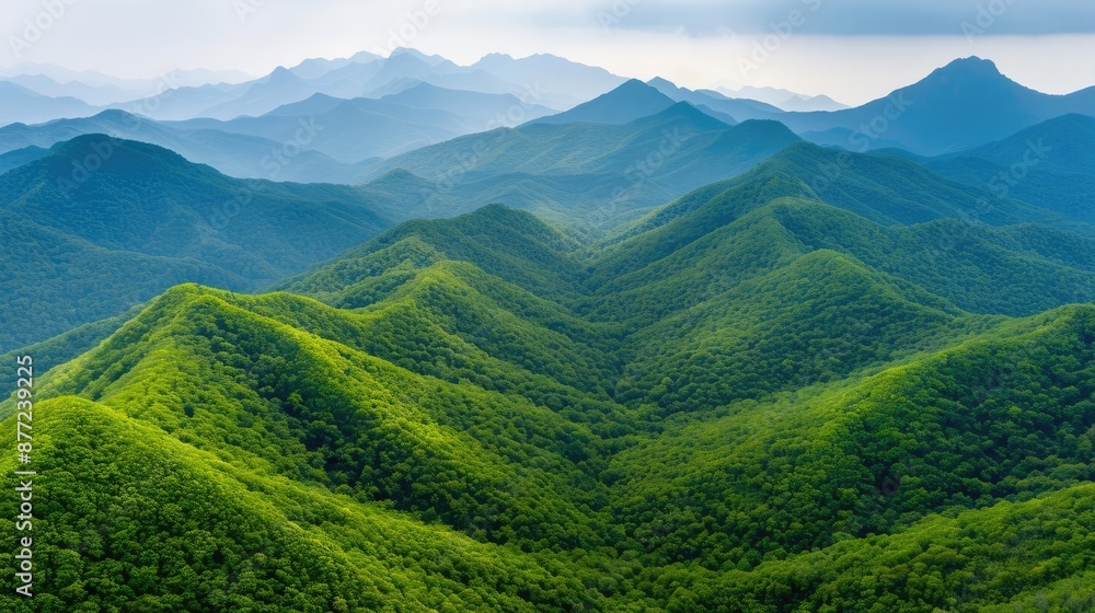 Mountain landscape with protected wildlife corridors, natural habitat preservation, eco-friendly management Mountain landscape with protected wildlife corridors, natural habitat preservation, eco-friendly management