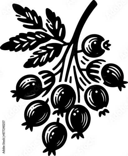 Hawthorn Berry Fruit icon 13