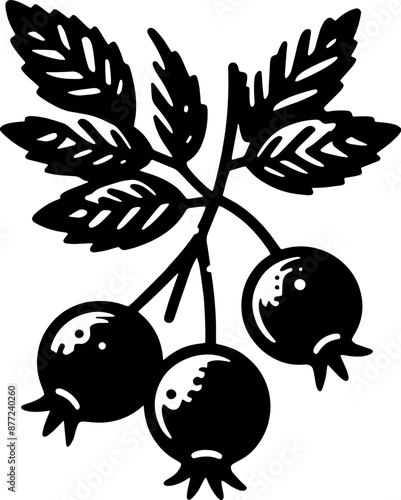 Hawthorn Berry Fruit icon 12