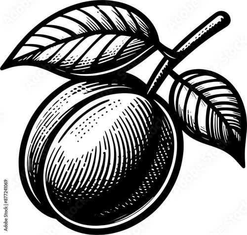 Green Plum Fruit icon 13