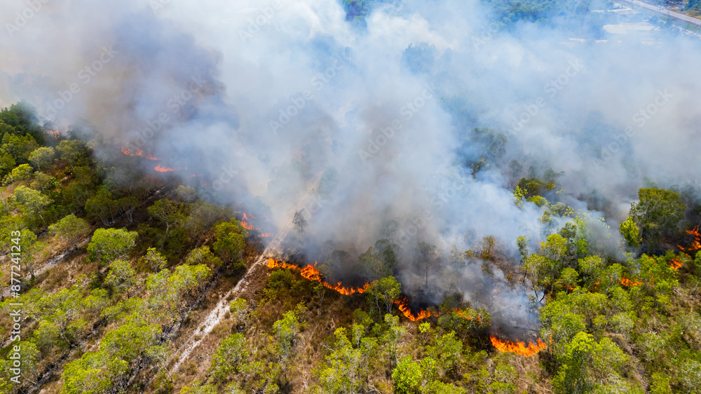 Forest fires are burning heavily in forests. Forest fires are burning heavily in forests.