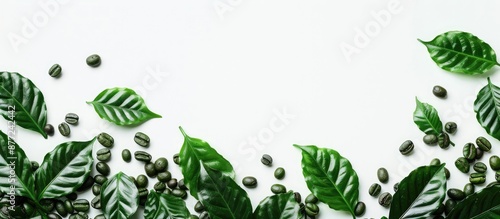 Top view of green coffee le...
