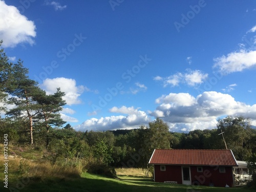 house on the hill in summer
