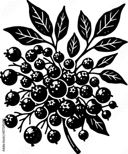 Elderberry Fruit icon 8