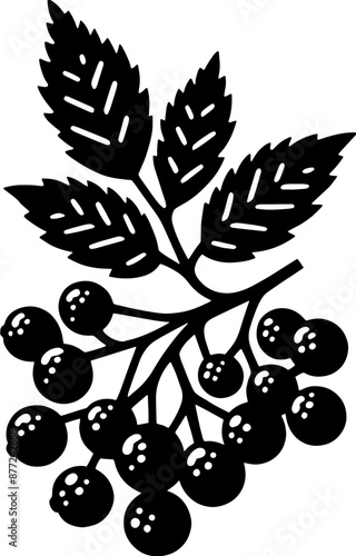 Elderberry Fruit icon 5