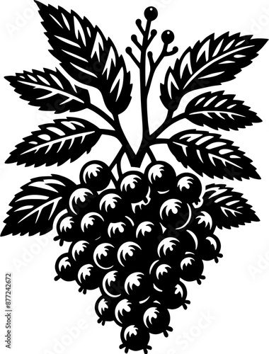 Elderberry Fruit icon 4