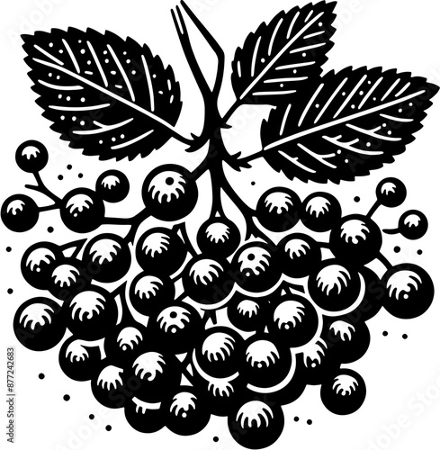 Elderberry Fruit icon2