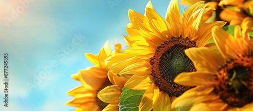 Detailed close up image of ...
