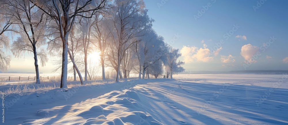 Obraz premium Winter scenery on a sunny day perfect for a copy space image