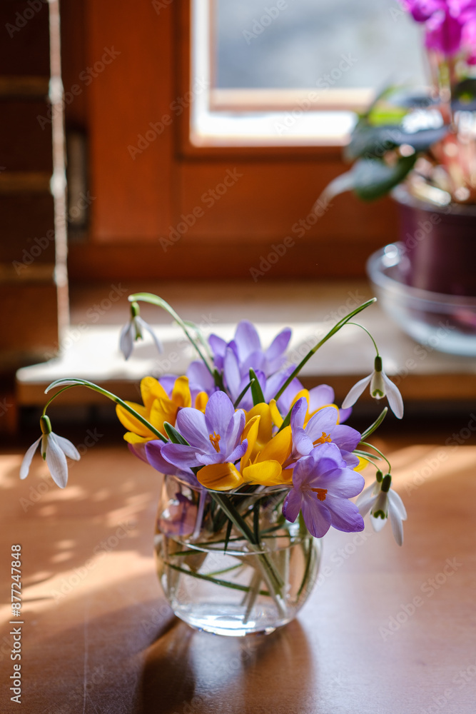Bouquet of purple crocus in vase. Spring flowers in a vase.